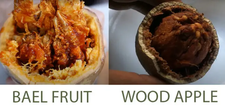 Bael fruit & Wood apple