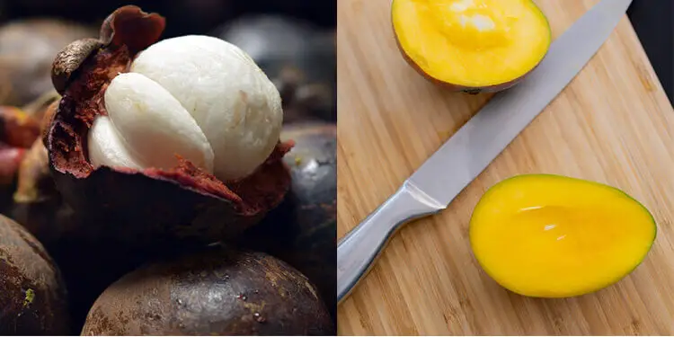 Mango vs Mangosteen