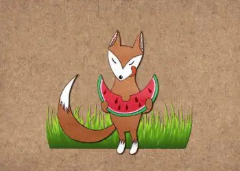 Animals Eating Watermelon