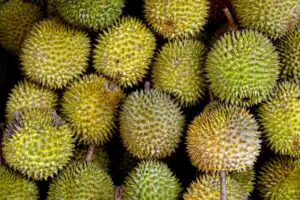Different Shaped Durian