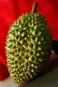 Spikes in Durian Fruit
